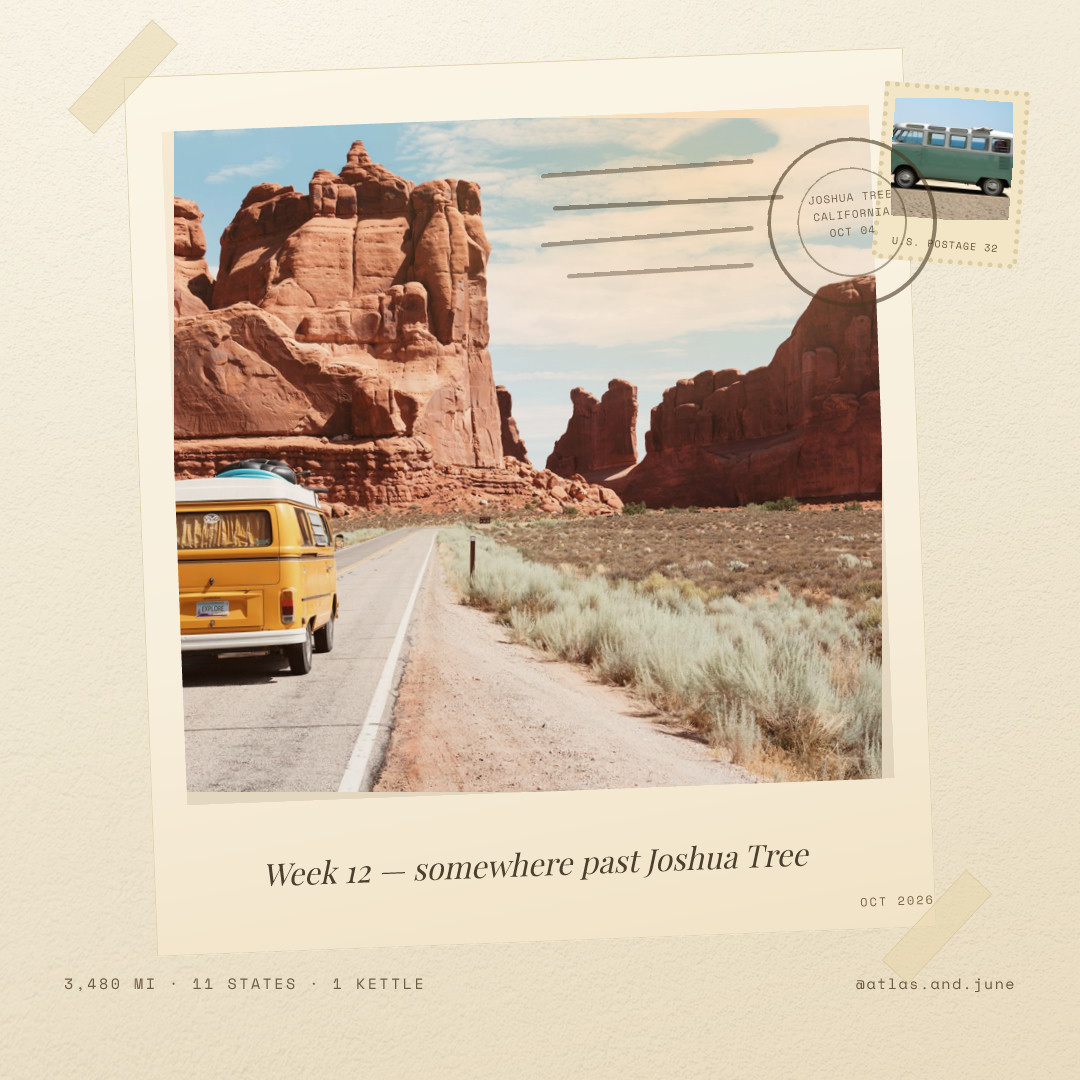 Atlas & June — Week 12 Postcard