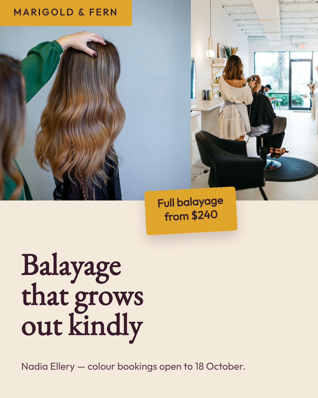 Balayage Promotion — Hair Colour Studio