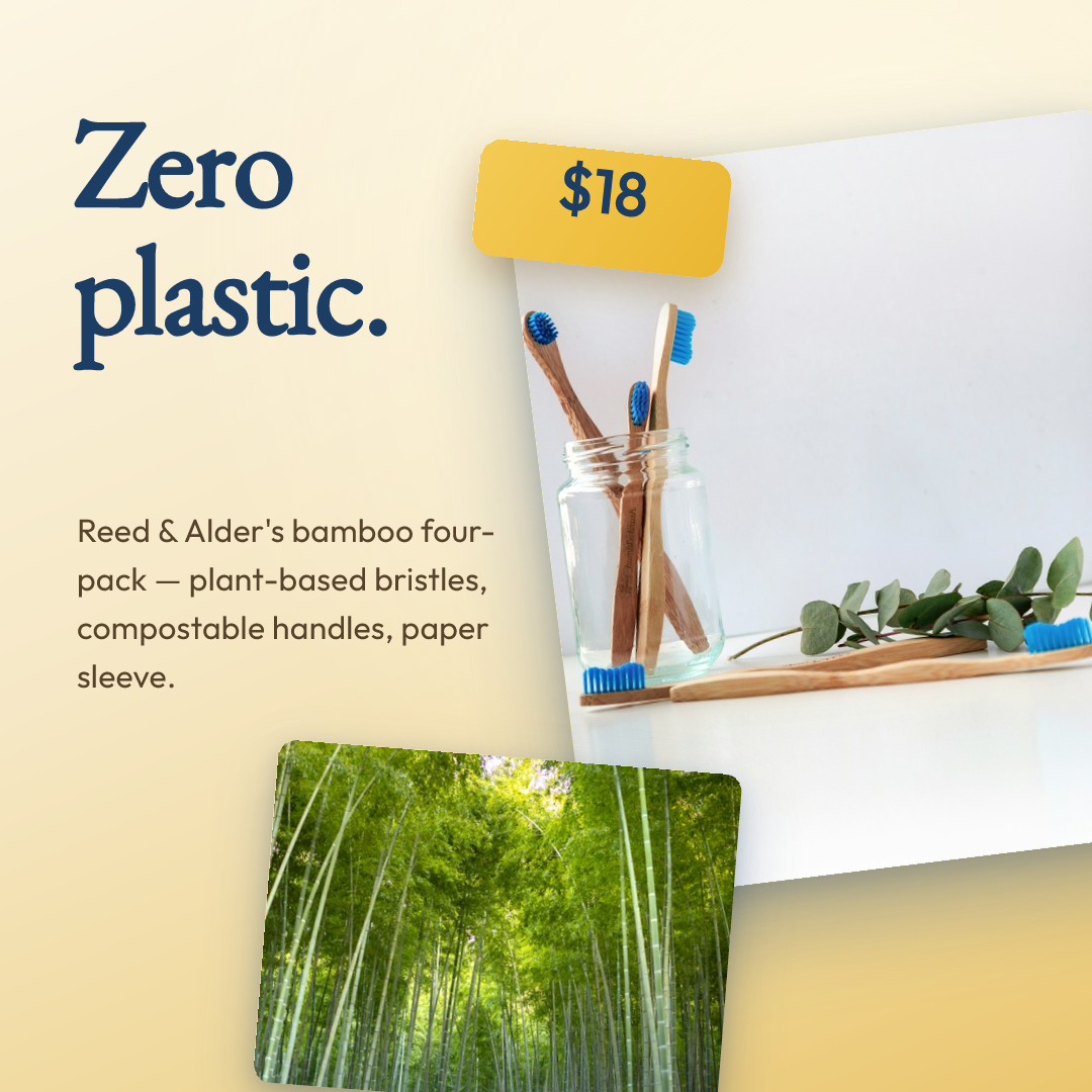 Bamboo Toothbrush Four-Pack Promo