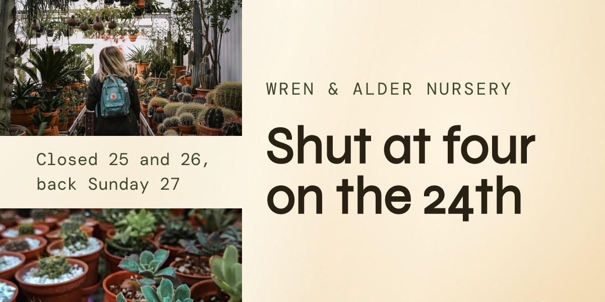 Holiday Opening Hours Nursery Email Header