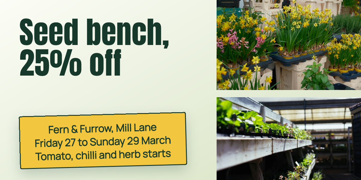 Garden Centre Spring Sale Email Header
