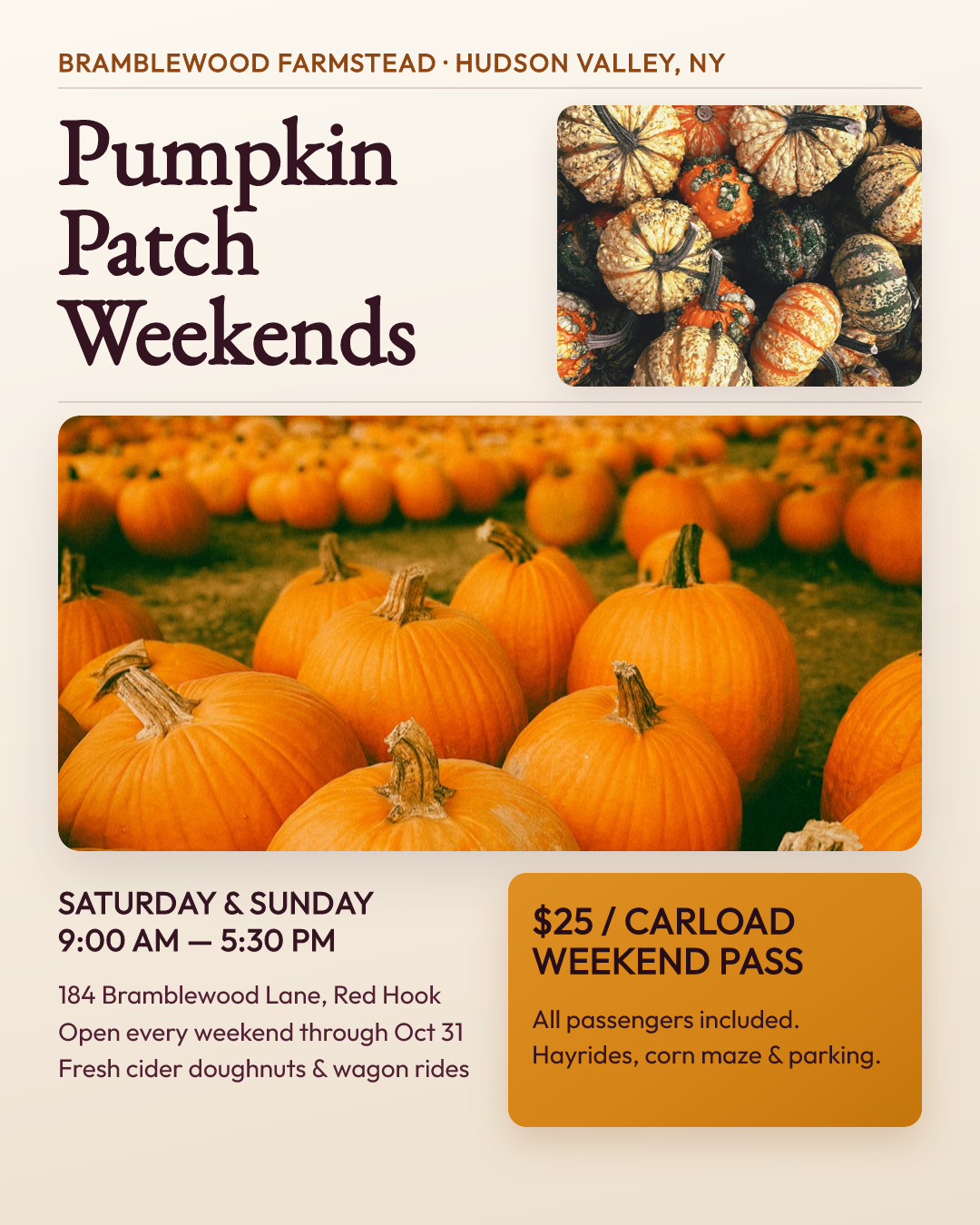 Bramblewood Farmstead Pumpkin Patch Weekends