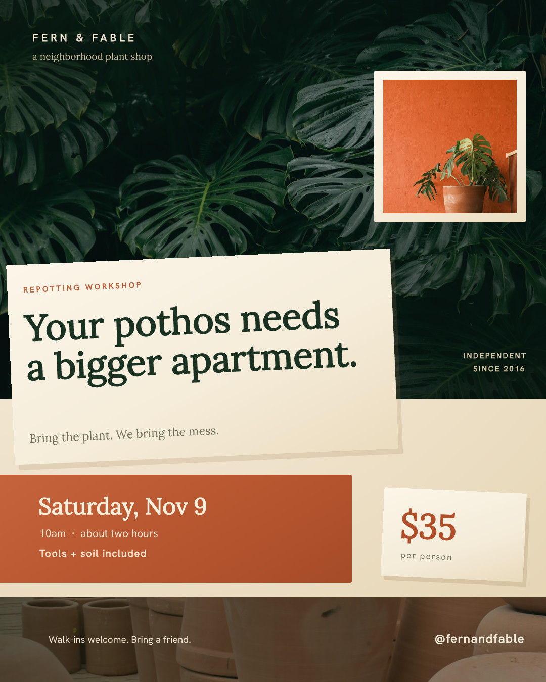 Fern & Fable Repotting Workshop Post