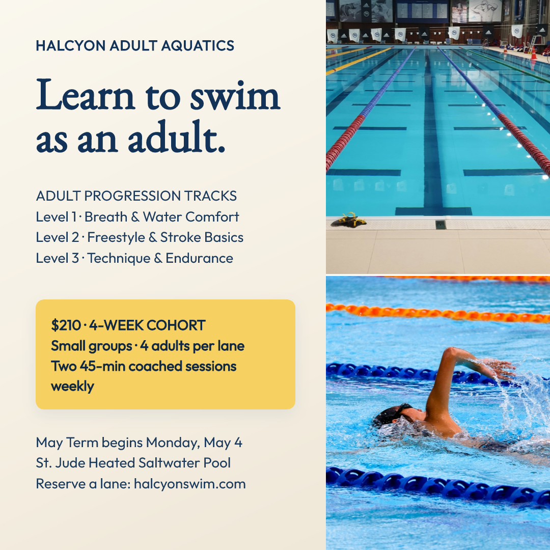 Adult Swim Lessons Editorial Split