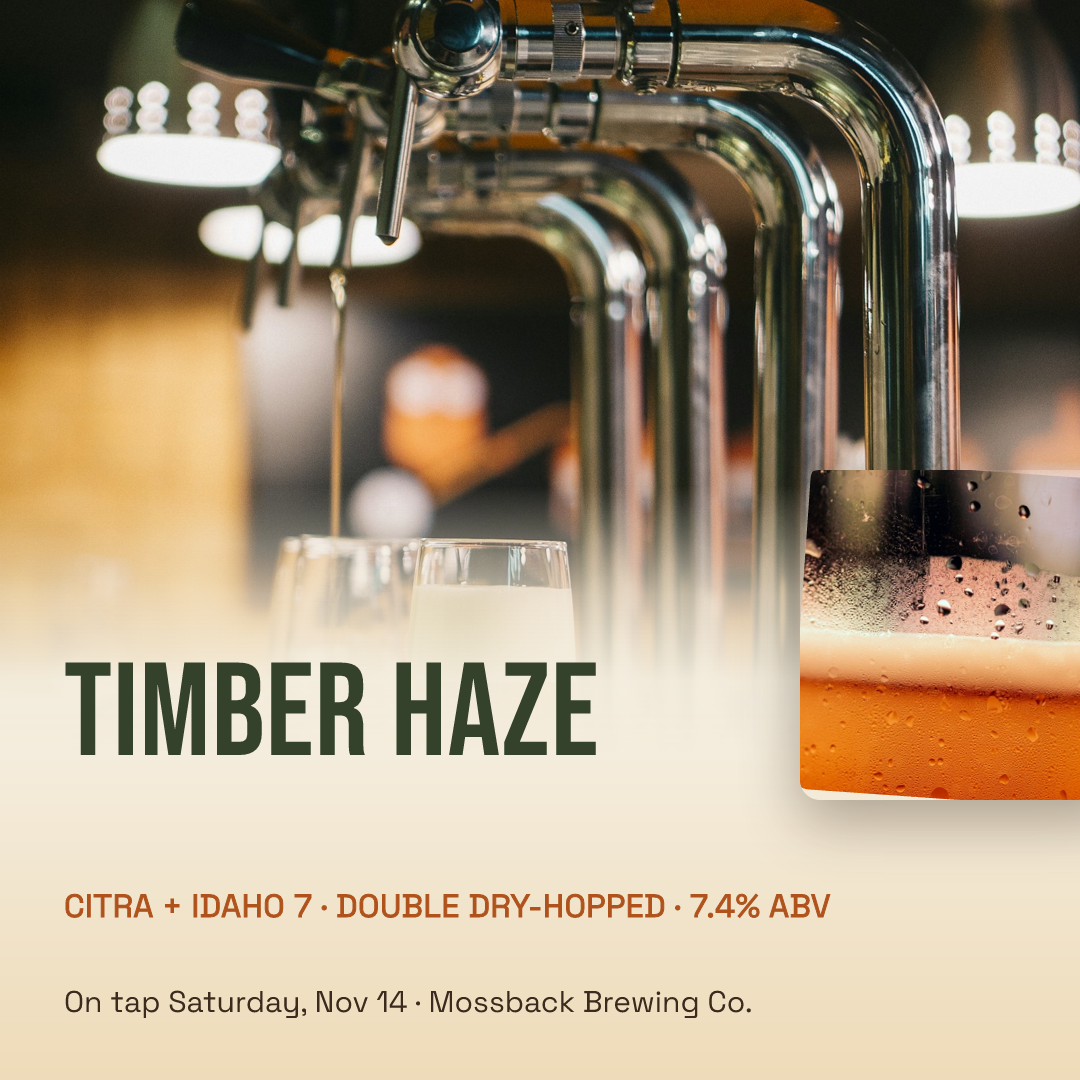 Timber Haze IPA Release
