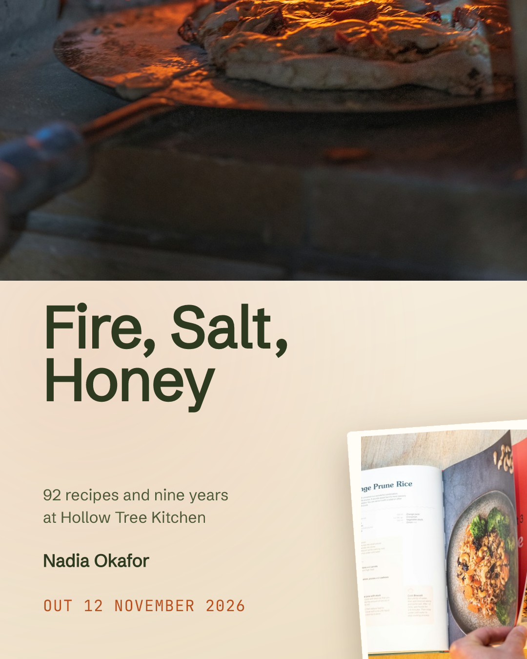 Fire, Salt, Honey Cookbook Launch Announcement