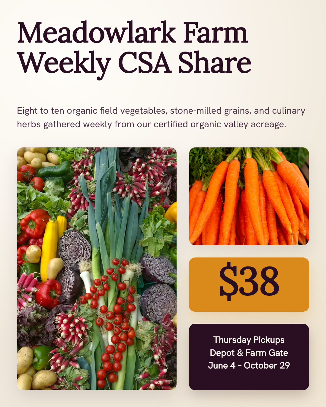 Meadowlark Farm Seasonal CSA Harvest Box
