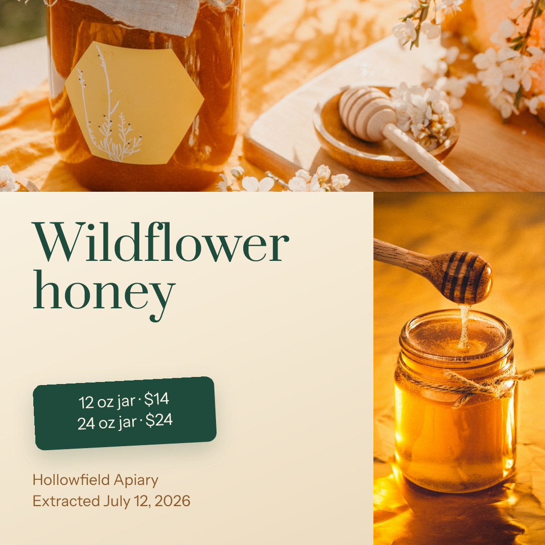Wildflower Honey Harvest Square