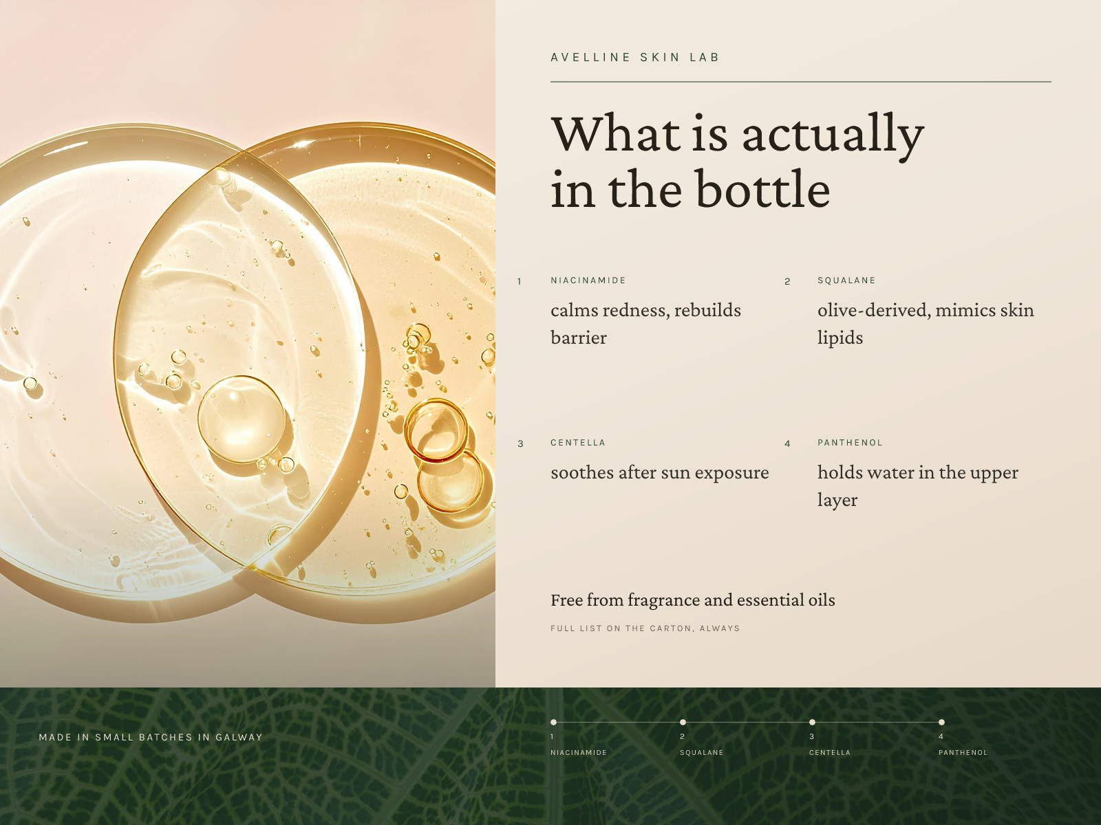 Skincare Ingredient Glossary Spread