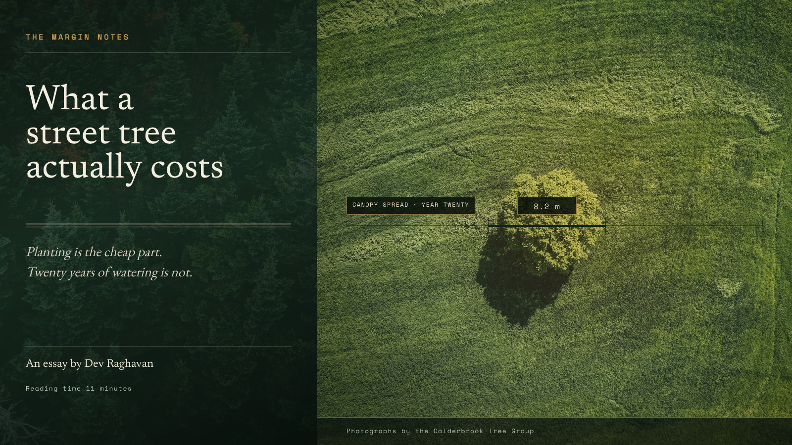 Longform Essay Header