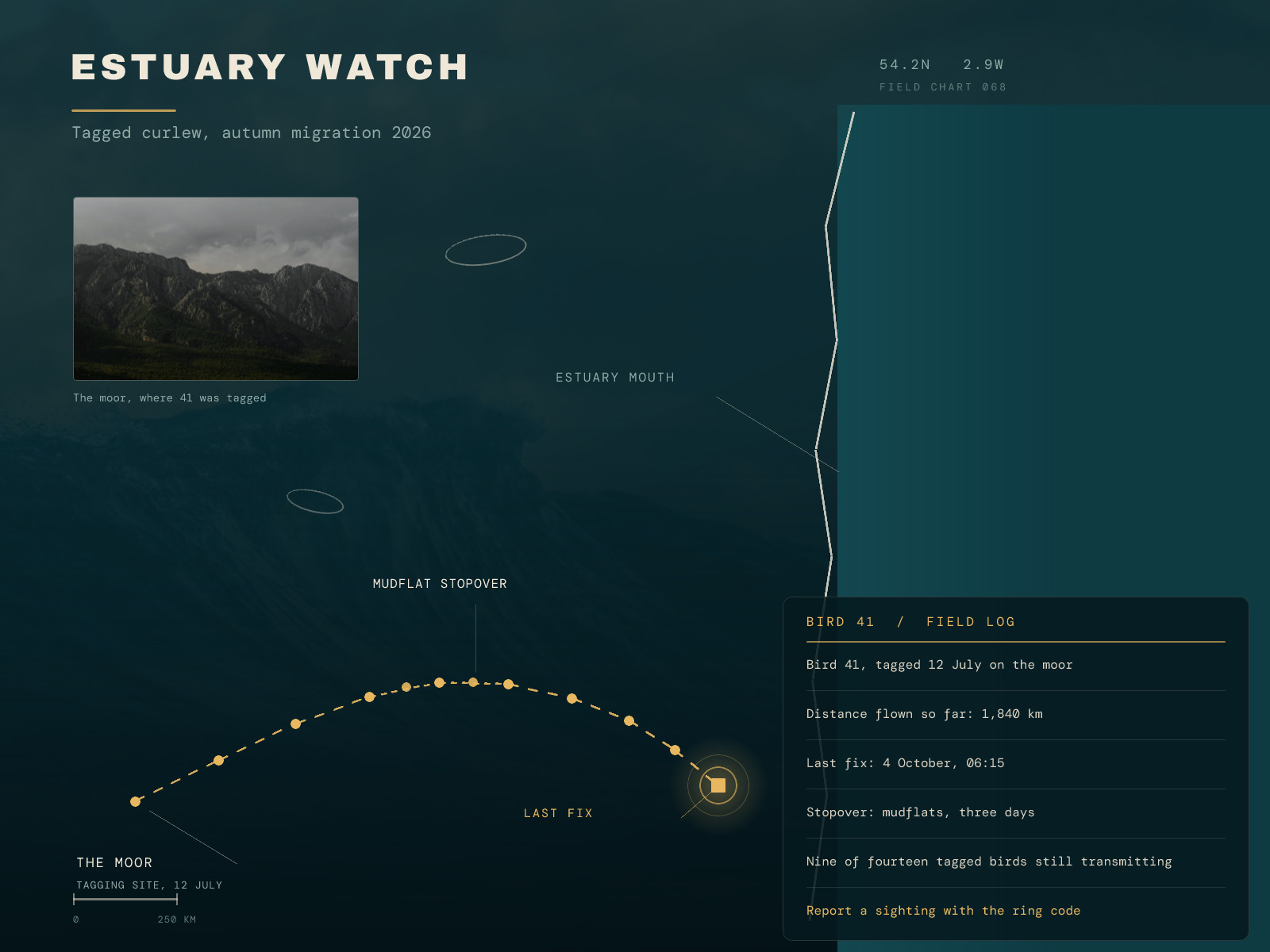 Bird Migration Tracking Map