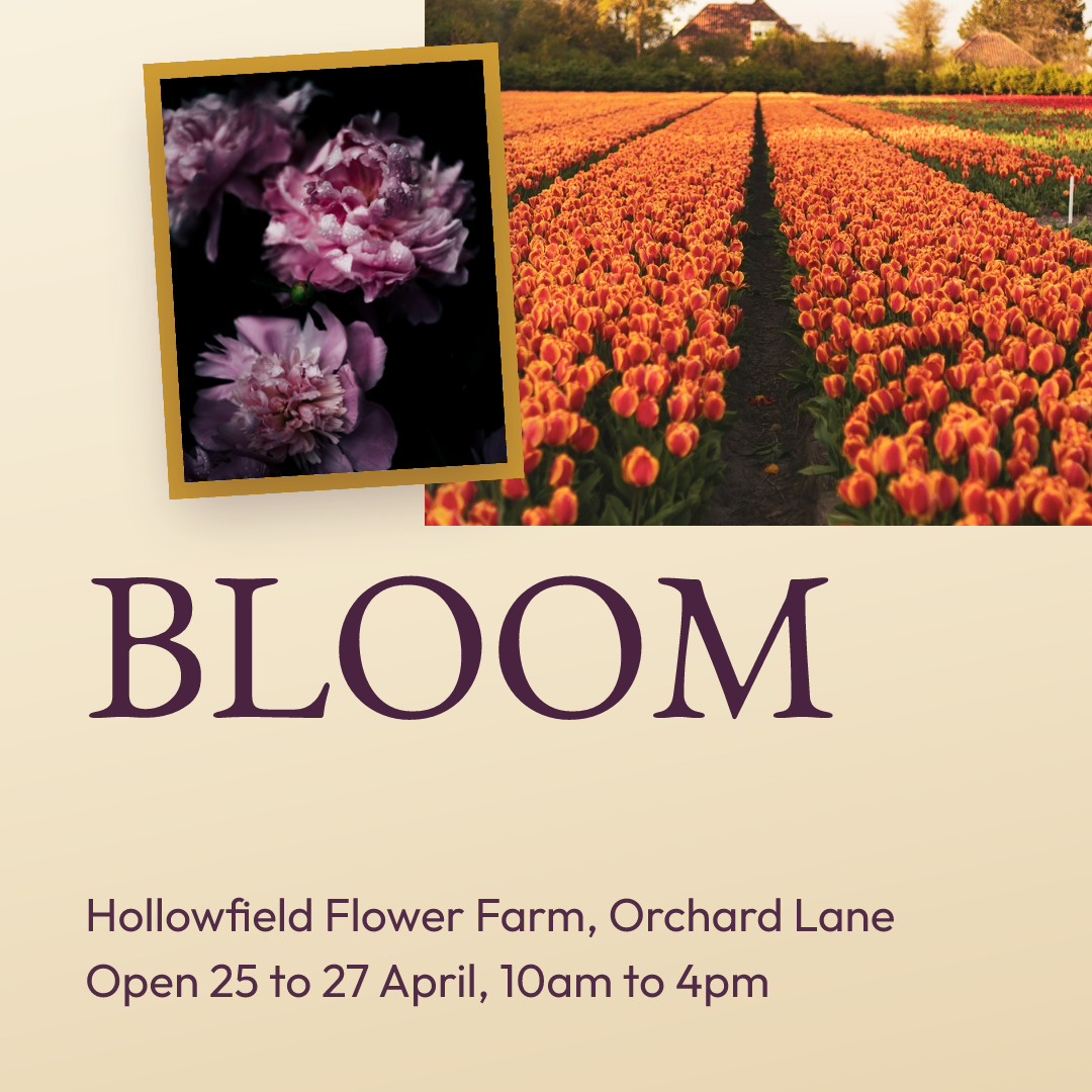 Bloom Open Weekend Poster