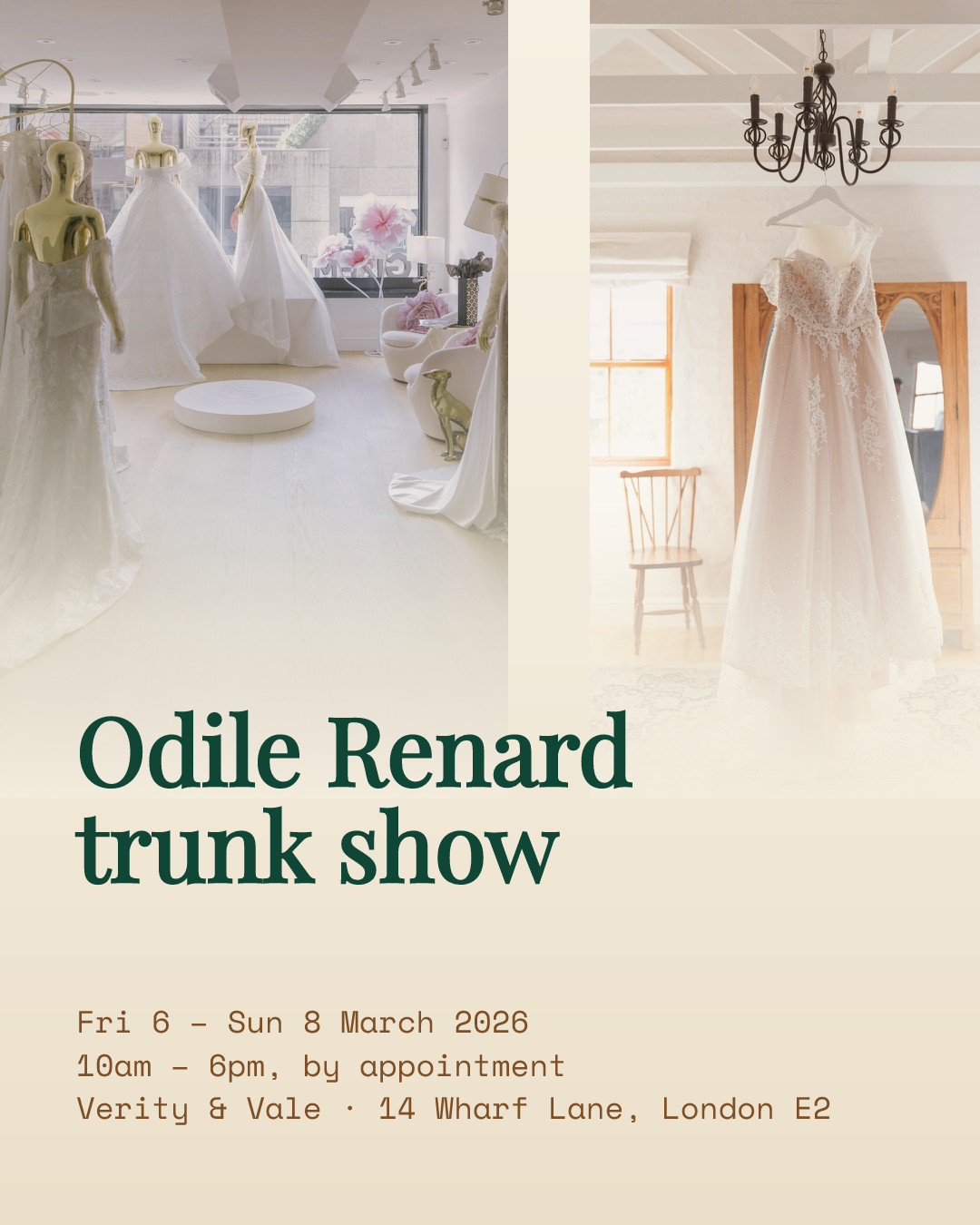 Bridal Boutique Trunk Show Poster