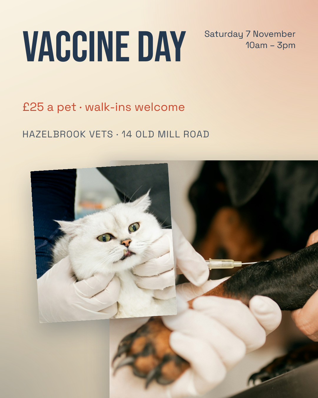 Vet Clinic Vaccine Day Post