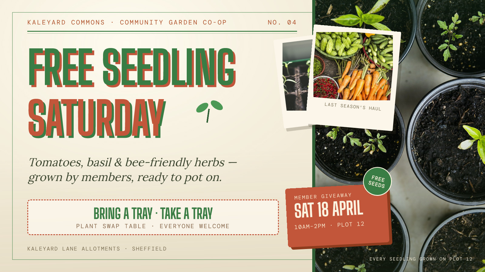 Kaleyard Commons Seedling Saturday