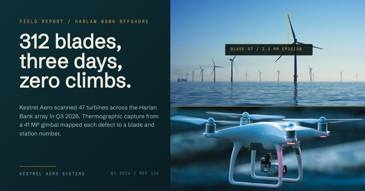 Offshore Blade Inspection Field Report