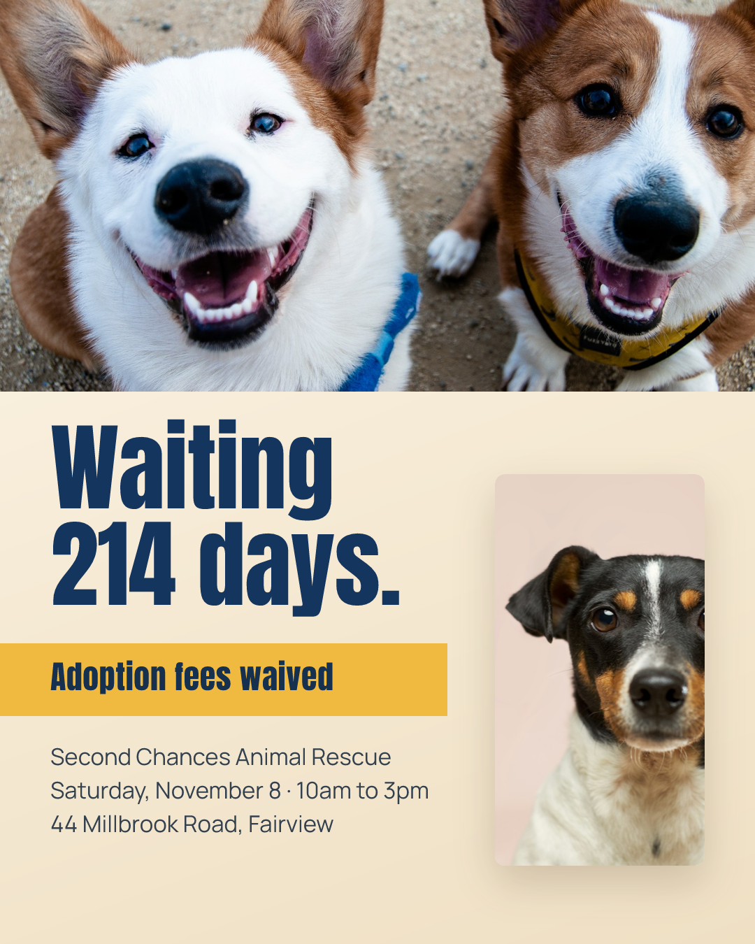 Waiting 214 Days — Shelter Adoption Day Poster