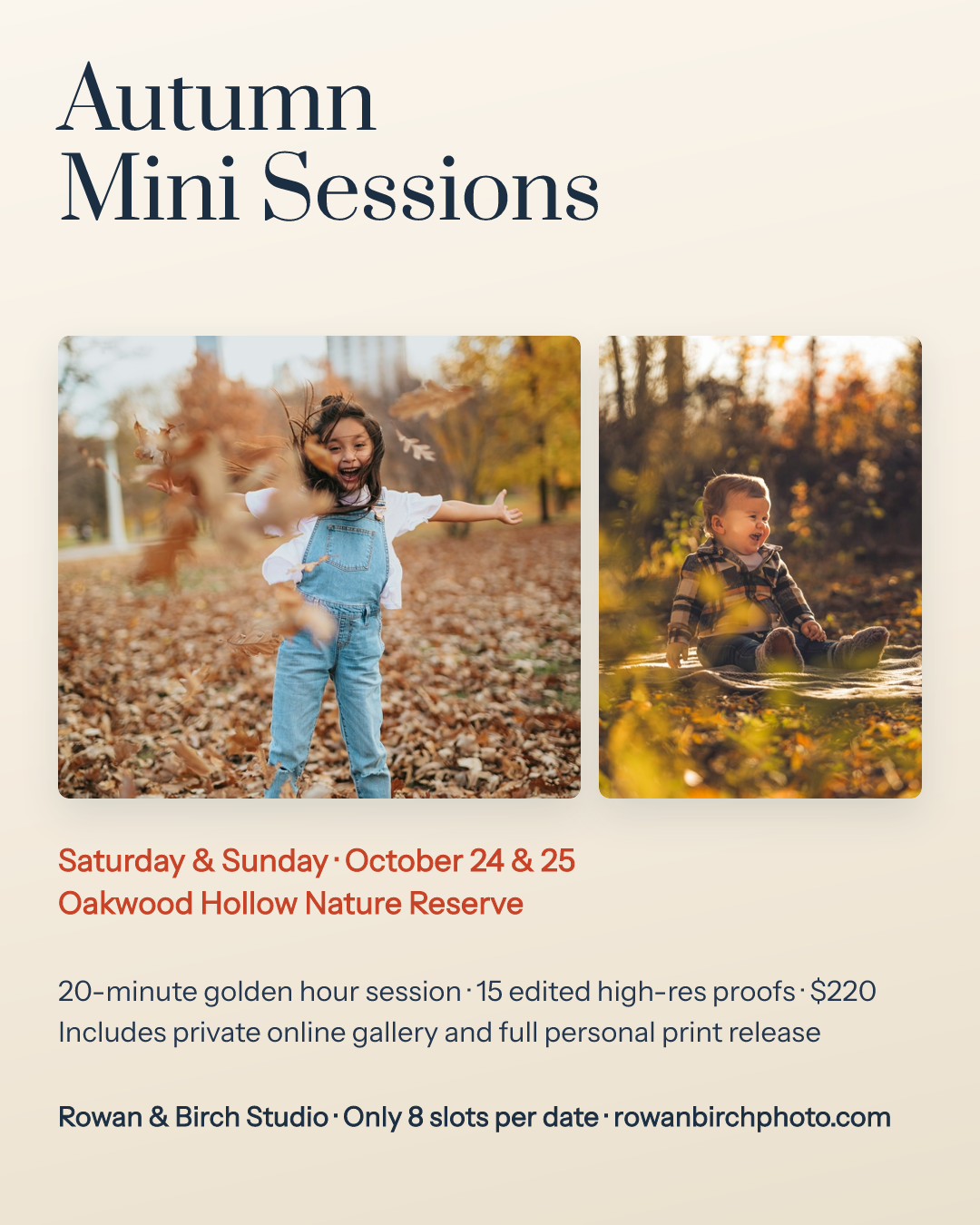 Rowan & Birch — Autumn Mini Sessions