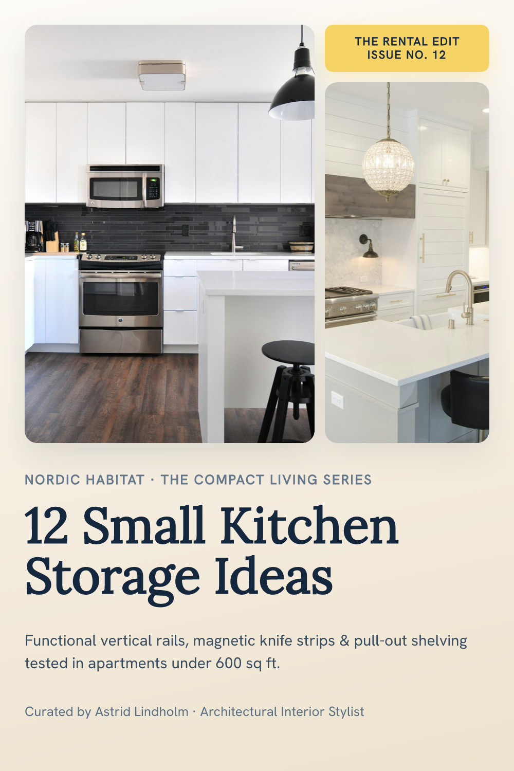 Small Kitchen Storage Ideas Editorial Pin