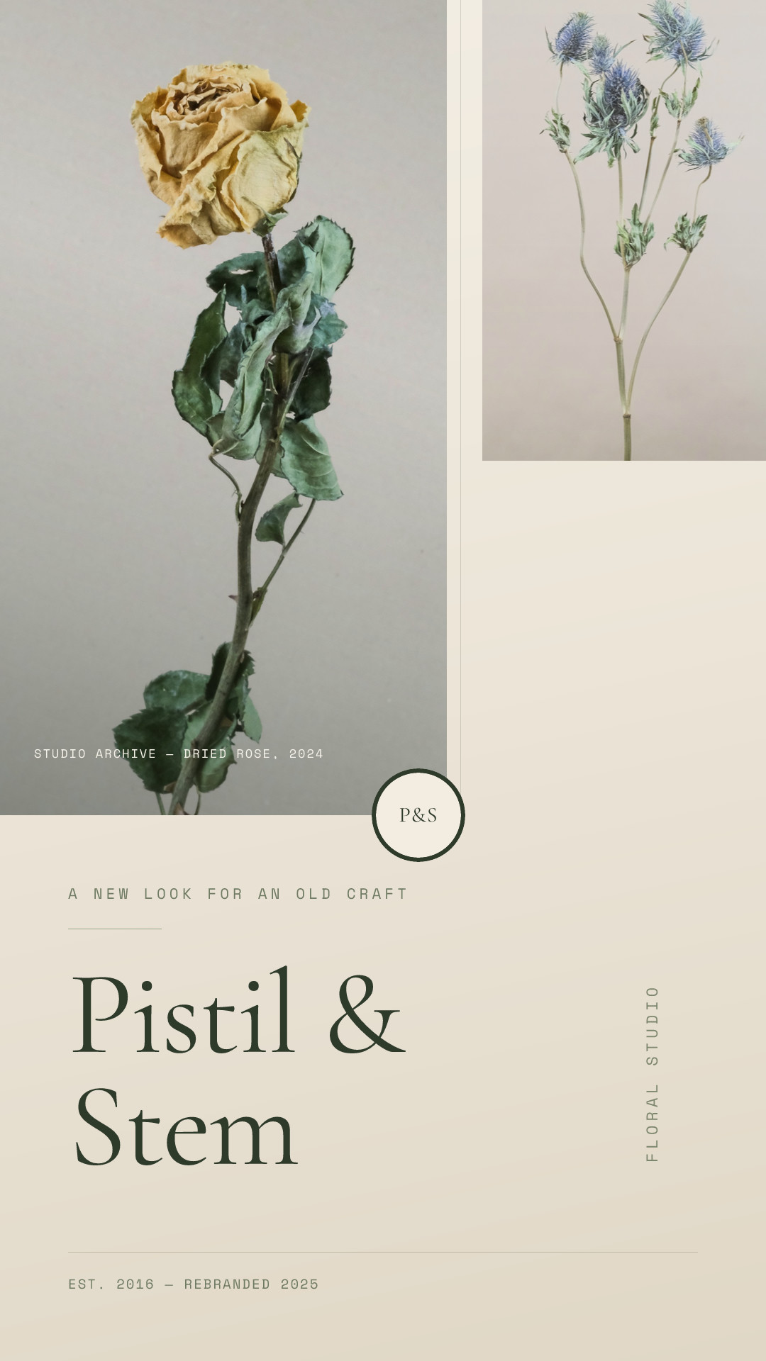 Pistil & Stem Rebrand Reveal
