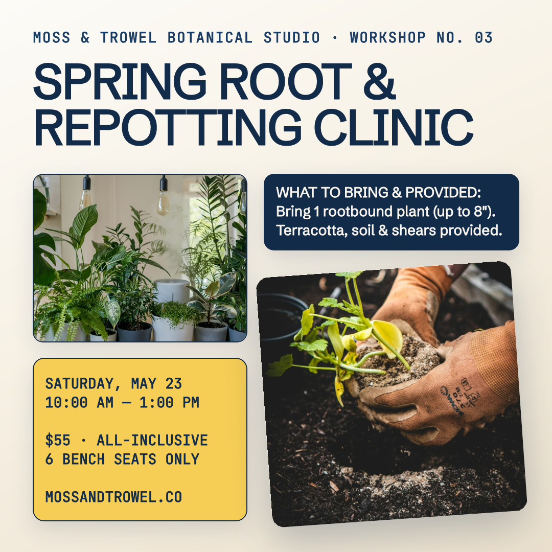 Moss & Trowel Spring Repotting Clinic