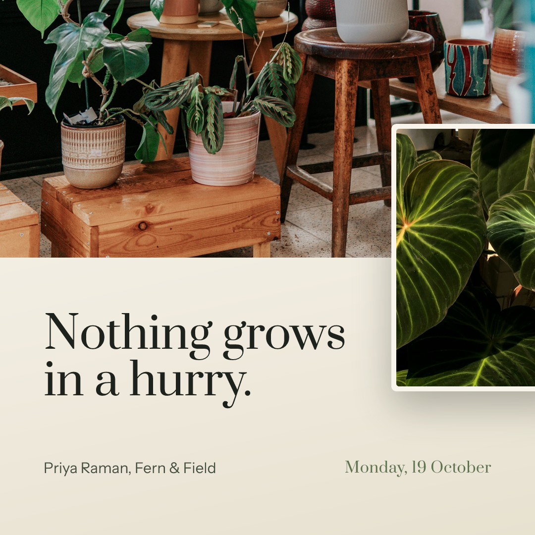 Nothing Grows in a Hurry — Monday Quote