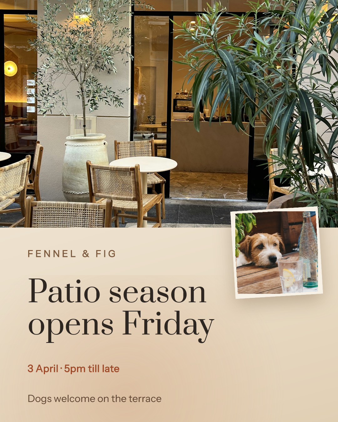 Patio Season Opening Announcement
