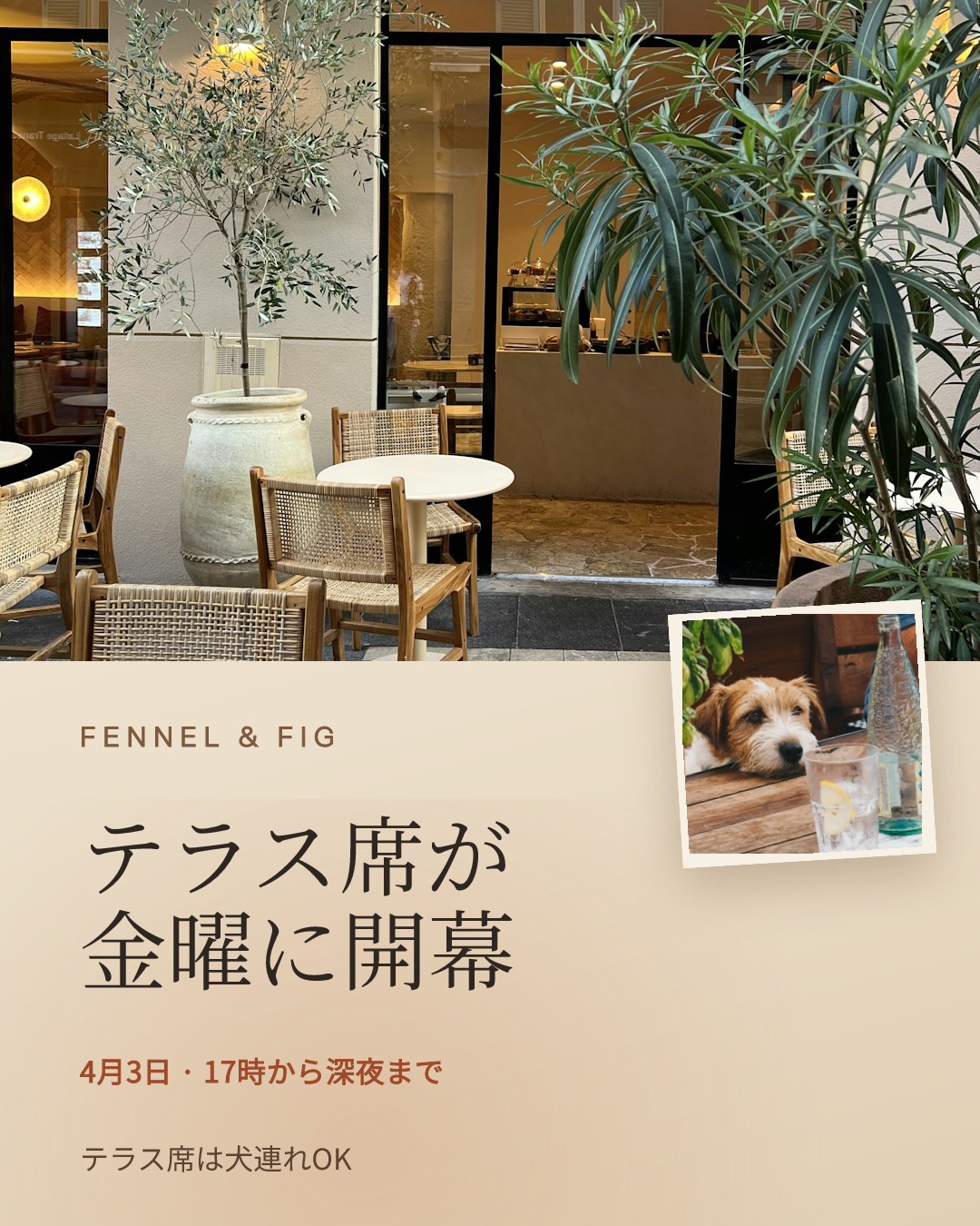 テラス席オープンのお知らせ