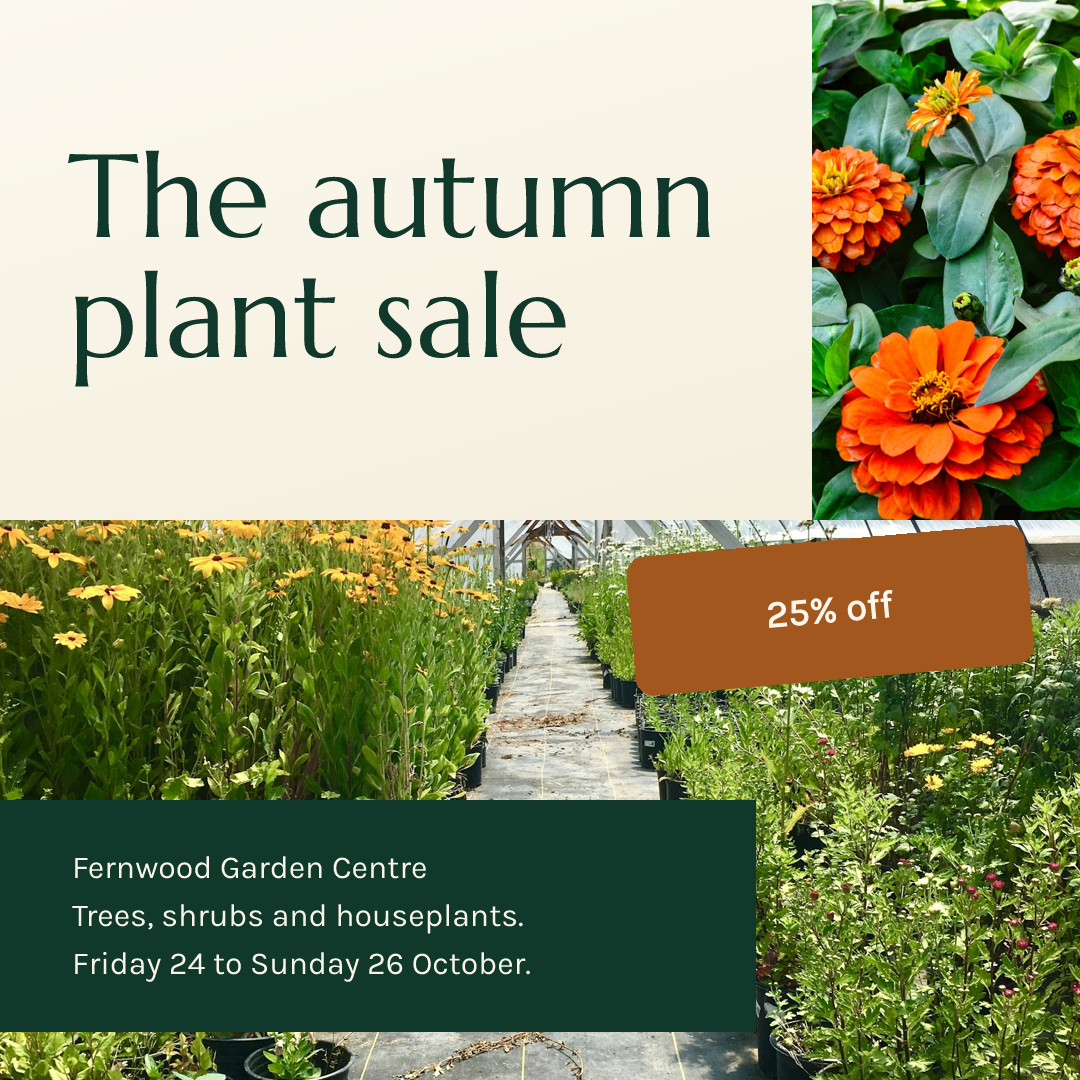 Autumn Plant Sale — Garden Centre Square
