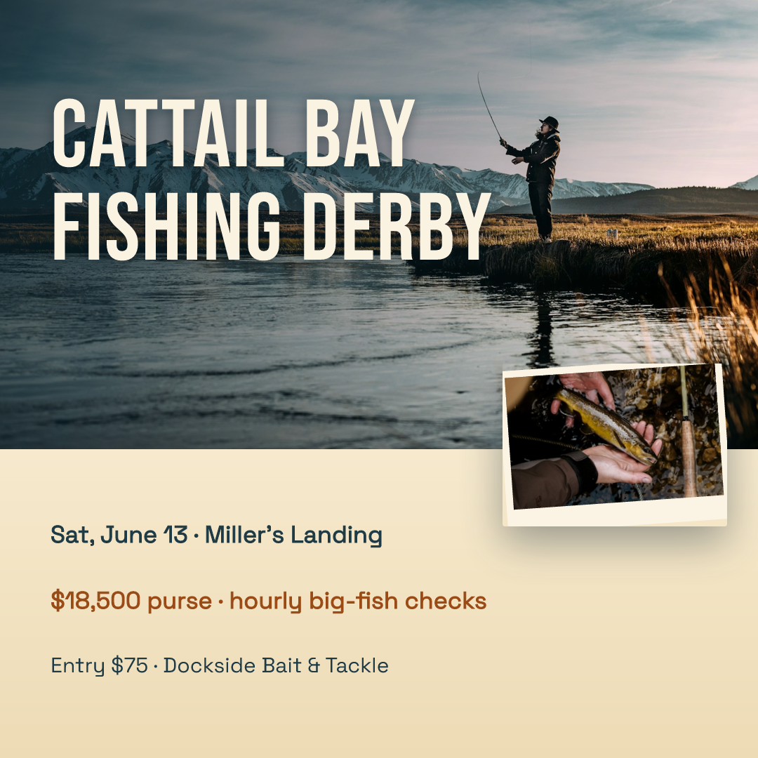 Cattail Bay Fishing Derby