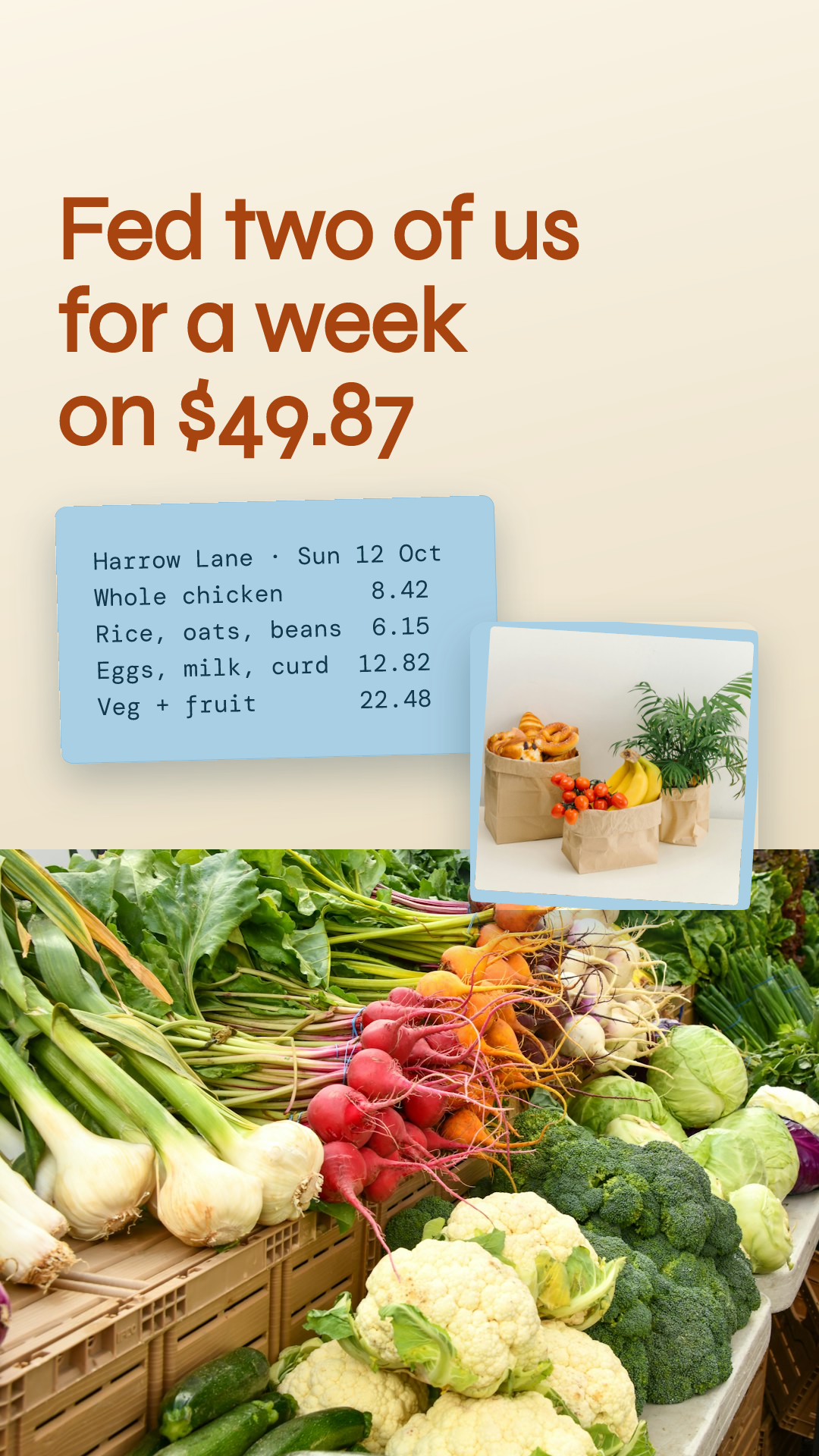Grocery Haul Under Fifty